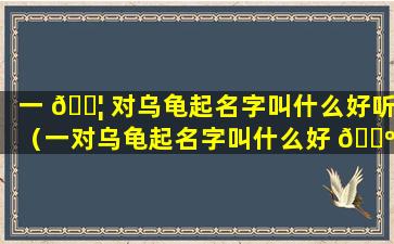 一 🐦 对乌龟起名字叫什么好听（一对乌龟起名字叫什么好 🐺 听点）